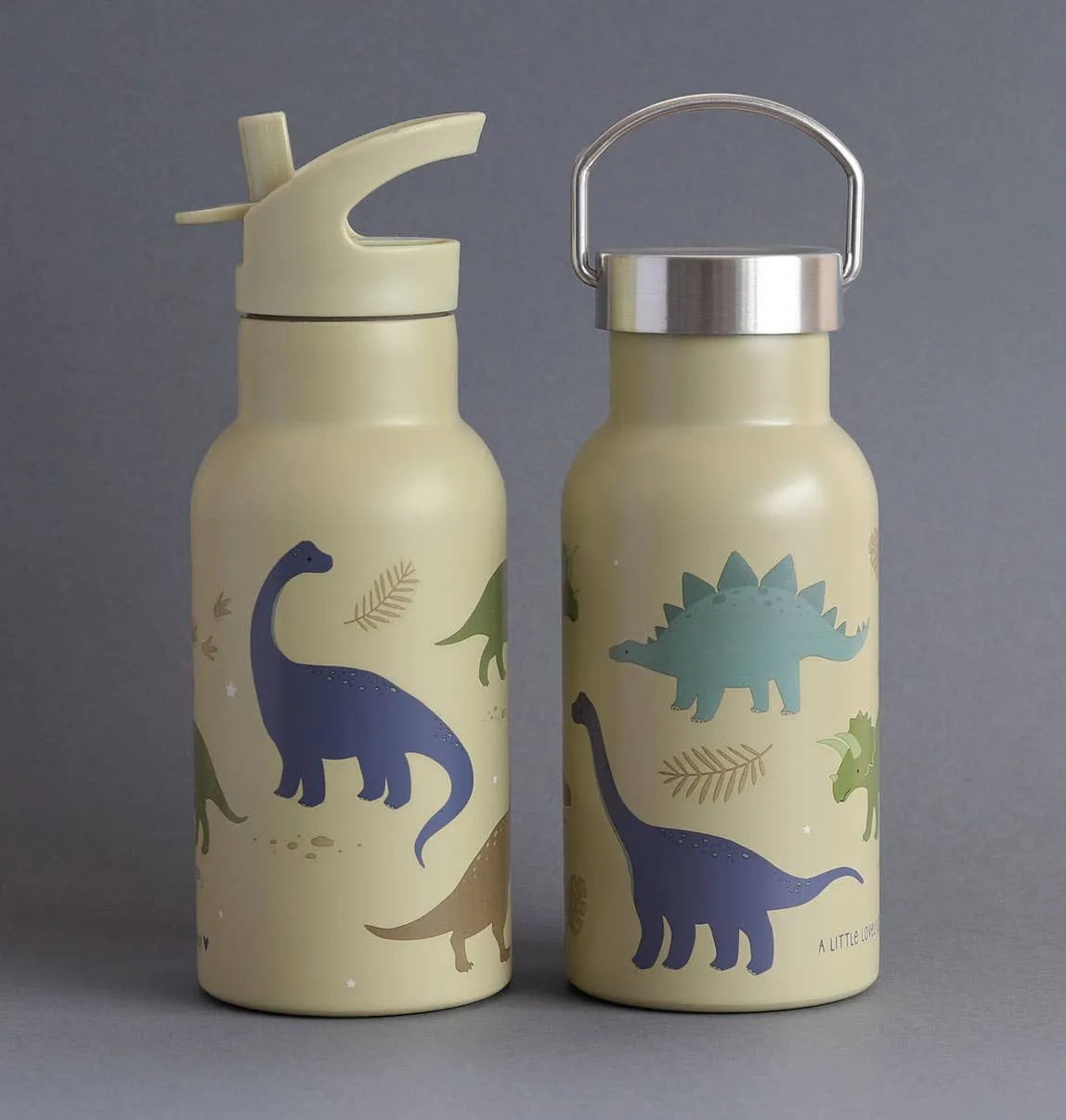 A Little Lovely Company - Kids Stainless Steel Drink / Water Bottle: Dinosaurs